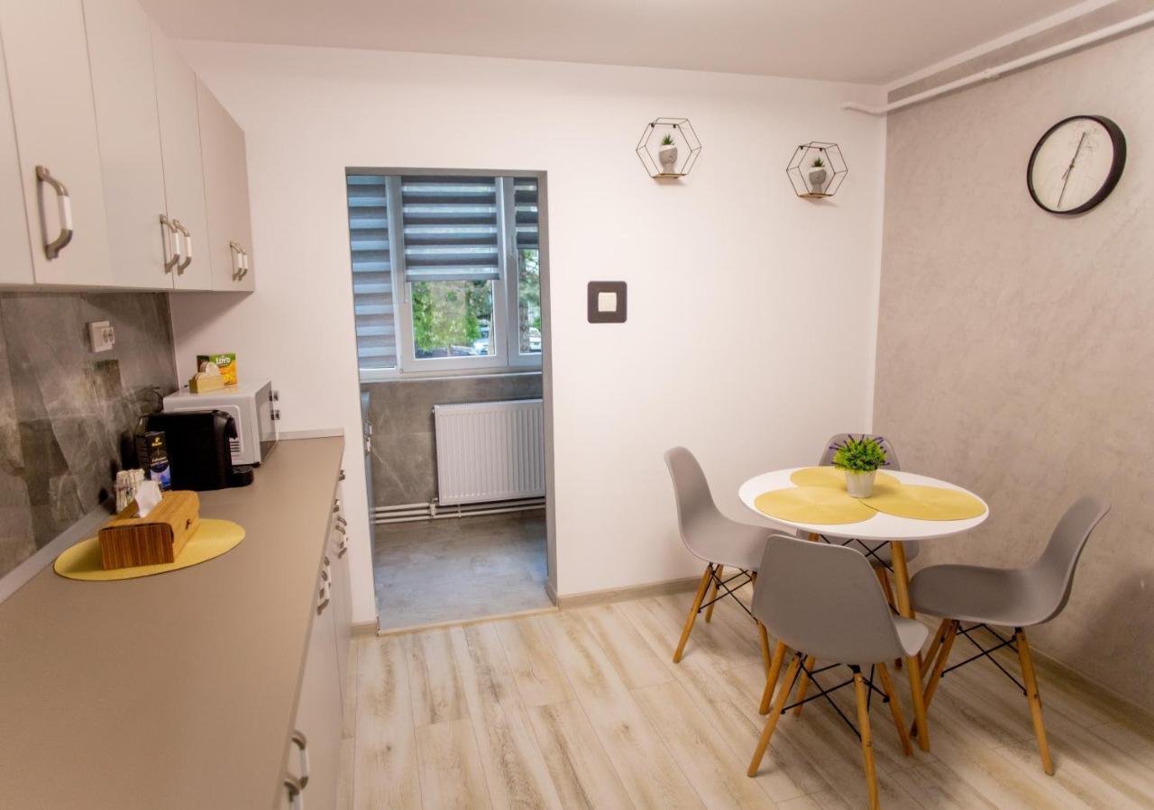 Loghin Residence Suceava Exterior photo